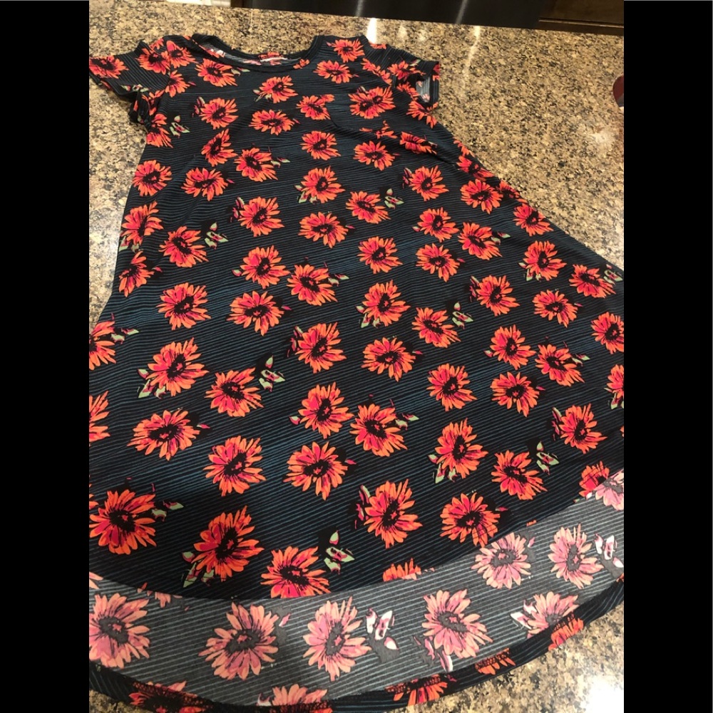 Lularoe scarlet dress size 10